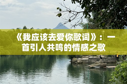 《我应该去爱你歌词》：一首引人共鸣的情感之歌