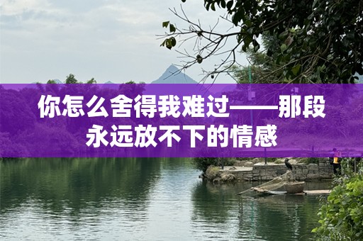 你怎么舍得我难过——那段永远放不下的情感