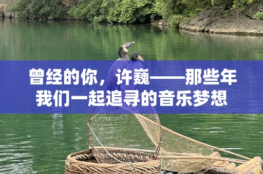 曾经的你，许巍——那些年我们一起追寻的音乐梦想