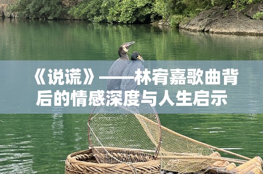 《说谎》——林宥嘉歌曲背后的情感深度与人生启示