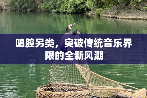 唱腔另类，突破传统音乐界限的全新风潮