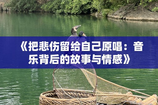 《把悲伤留给自己原唱：音乐背后的故事与情感》