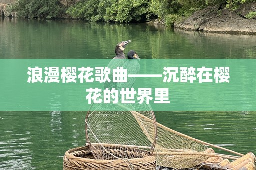 浪漫樱花歌曲——沉醉在樱花的世界里