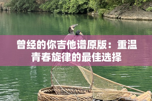 曾经的你吉他谱原版：重温青春旋律的最佳选择