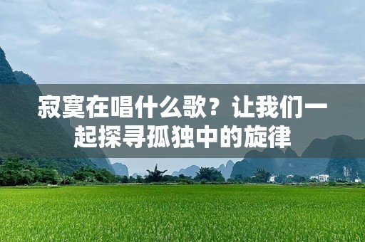 寂寞在唱什么歌？让我们一起探寻孤独中的旋律