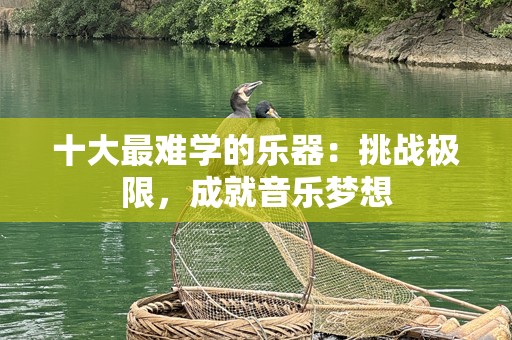 十大最难学的乐器：挑战极限，成就音乐梦想