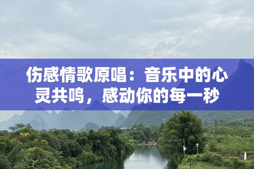 伤感情歌原唱：音乐中的心灵共鸣，感动你的每一秒