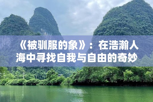 《被驯服的象》：在浩瀚人海中寻找自我与自由的奇妙旅程