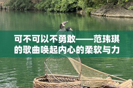 可不可以不勇敢——范玮琪的歌曲唤起内心的柔软与力量