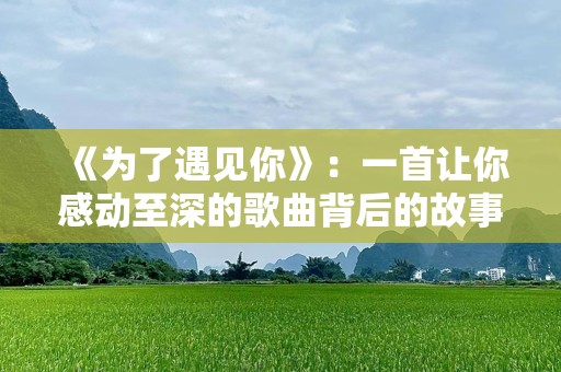 《为了遇见你》：一首让你感动至深的歌曲背后的故事