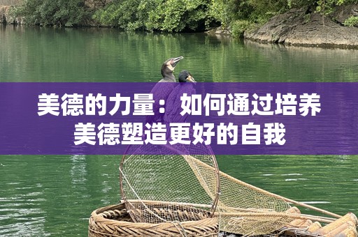 美德的力量：如何通过培养美德塑造更好的自我