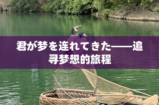 君が梦を连れてきた——追寻梦想的旅程