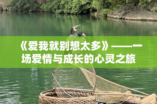 《爱我就别想太多》——一场爱情与成长的心灵之旅