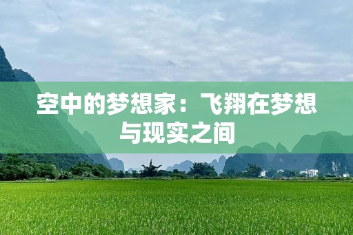 空中的梦想家：飞翔在梦想与现实之间