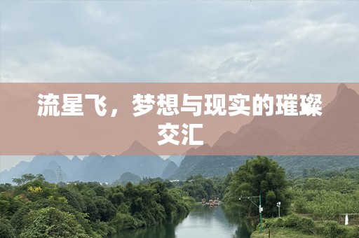 流星飞，梦想与现实的璀璨交汇