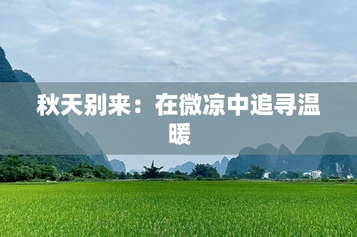 秋天别来：在微凉中追寻温暖
