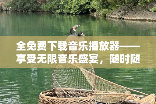 全免费下载音乐播放器——享受无限音乐盛宴，随时随地畅听无忧
