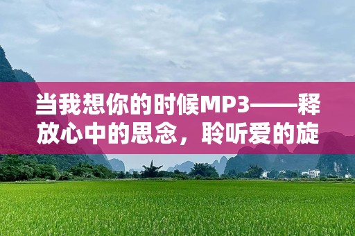 当我想你的时候MP3——释放心中的思念，聆听爱的旋律