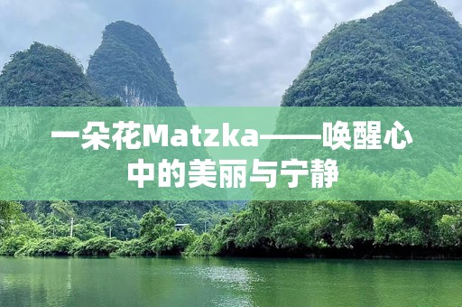 一朵花Matzka——唤醒心中的美丽与宁静