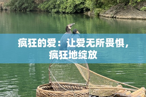 疯狂的爱：让爱无所畏惧，疯狂地绽放