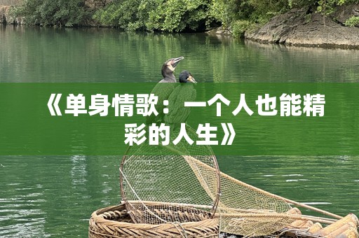 《单身情歌：一个人也能精彩的人生》