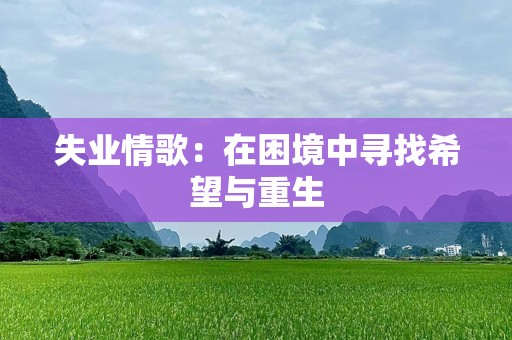 失业情歌：在困境中寻找希望与重生