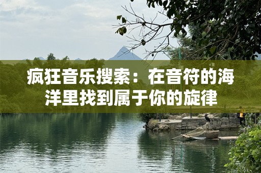疯狂音乐搜索：在音符的海洋里找到属于你的旋律
