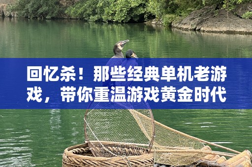 回忆杀！那些经典单机老游戏，带你重温游戏黄金时代！