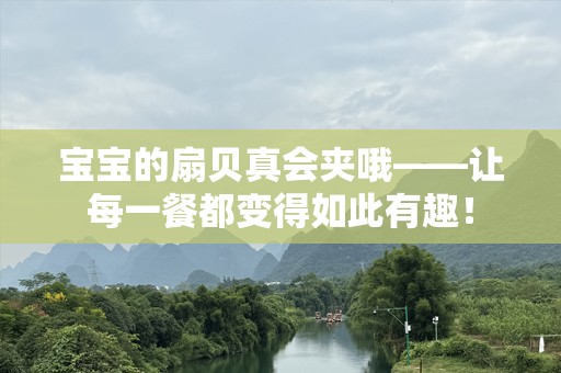宝宝的扇贝真会夹哦——让每一餐都变得如此有趣！