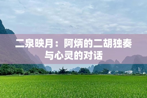二泉映月：阿炳的二胡独奏与心灵的对话
