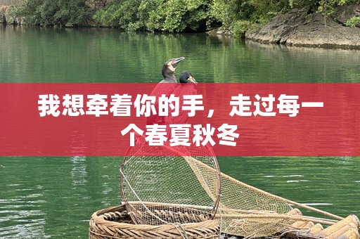 我想牵着你的手，走过每一个春夏秋冬