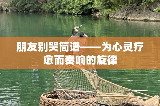 朋友别哭简谱——为心灵疗愈而奏响的旋律