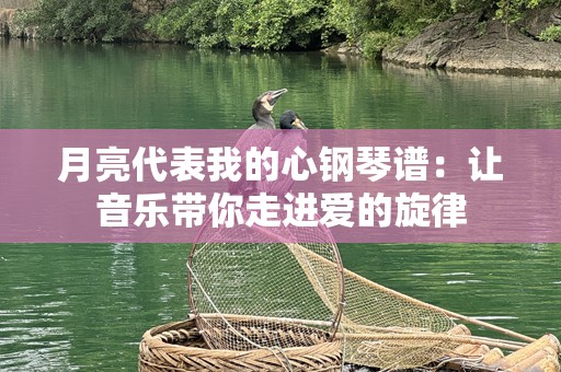 月亮代表我的心钢琴谱：让音乐带你走进爱的旋律