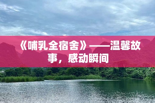 《哺乳全宿舍》——温馨故事，感动瞬间