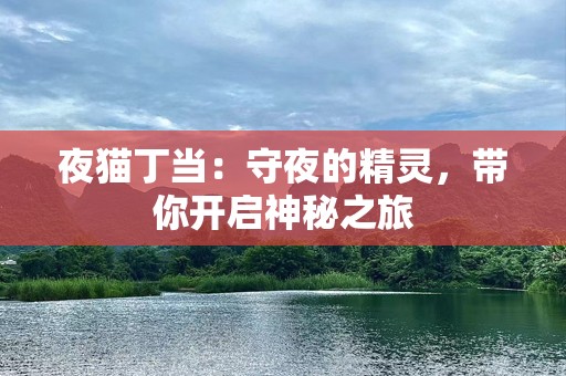 夜猫丁当：守夜的精灵，带你开启神秘之旅