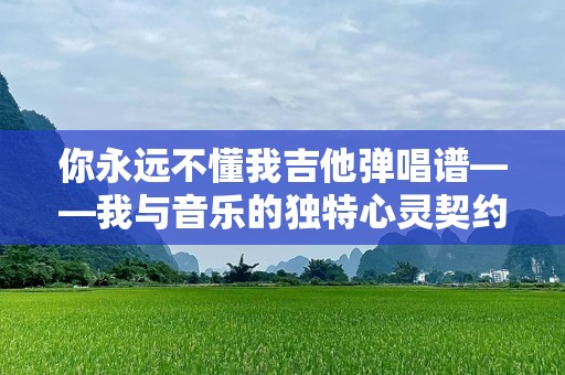 你永远不懂我吉他弹唱谱——我与音乐的独特心灵契约