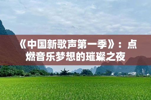 《中国新歌声第一季》：点燃音乐梦想的璀璨之夜