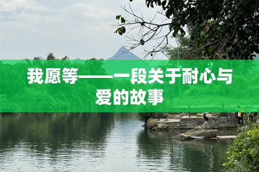 我愿等——一段关于耐心与爱的故事