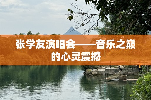 张学友演唱会——音乐之巅的心灵震撼