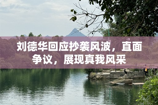 刘德华回应抄袭风波，直面争议，展现真我风采