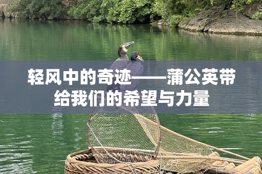 轻风中的奇迹——蒲公英带给我们的希望与力量