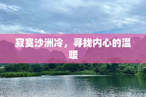寂寞沙洲冷，寻找内心的温暖
