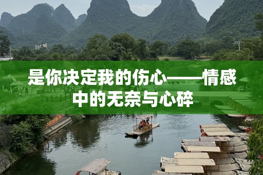 是你决定我的伤心——情感中的无奈与心碎