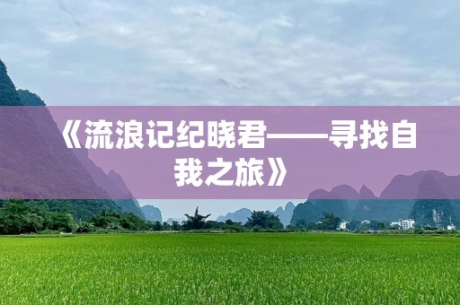《流浪记纪晓君——寻找自我之旅》