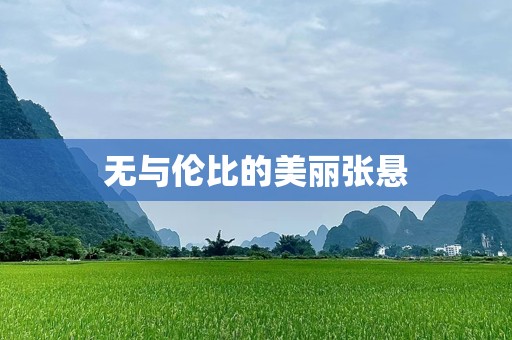 无与伦比的美丽张悬