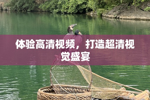 体验高清视频，打造超清视觉盛宴