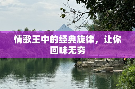 情歌王中的经典旋律，让你回味无穷