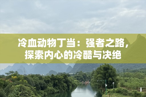 冷血动物丁当：强者之路，探索内心的冷酷与决绝