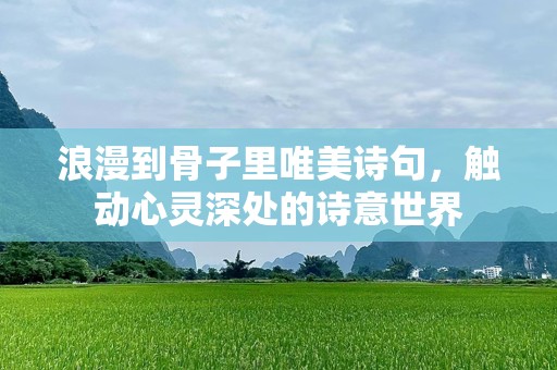 浪漫到骨子里唯美诗句，触动心灵深处的诗意世界