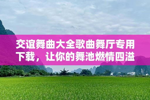 交谊舞曲大全歌曲舞厅专用下载，让你的舞池燃情四溢！